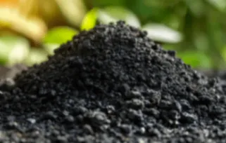 Biochar soil sustainable solutions by Vel Organics