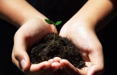 Sustainable farming and moving beyond chemical fertilizers