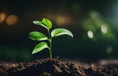 Sustainable farming and moving beyond chemical fertilizers