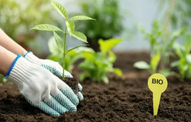Sustainable farming and moving beyond chemical fertilizers