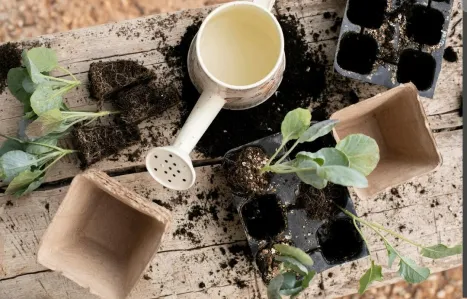 Sustainable farming and moving beyond chemical fertilizers