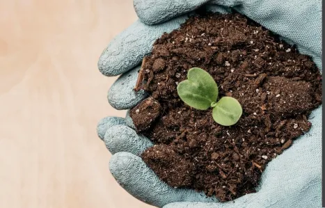 Sustainable farming and moving beyond chemical fertilizers