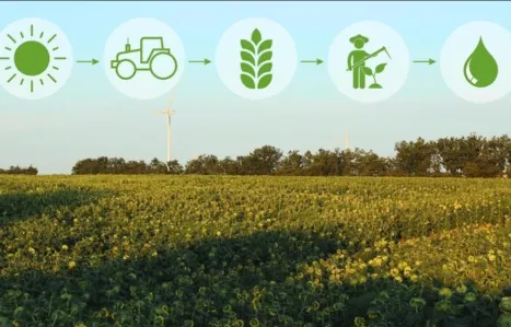 Sustainable farming and moving beyond chemical fertilizers